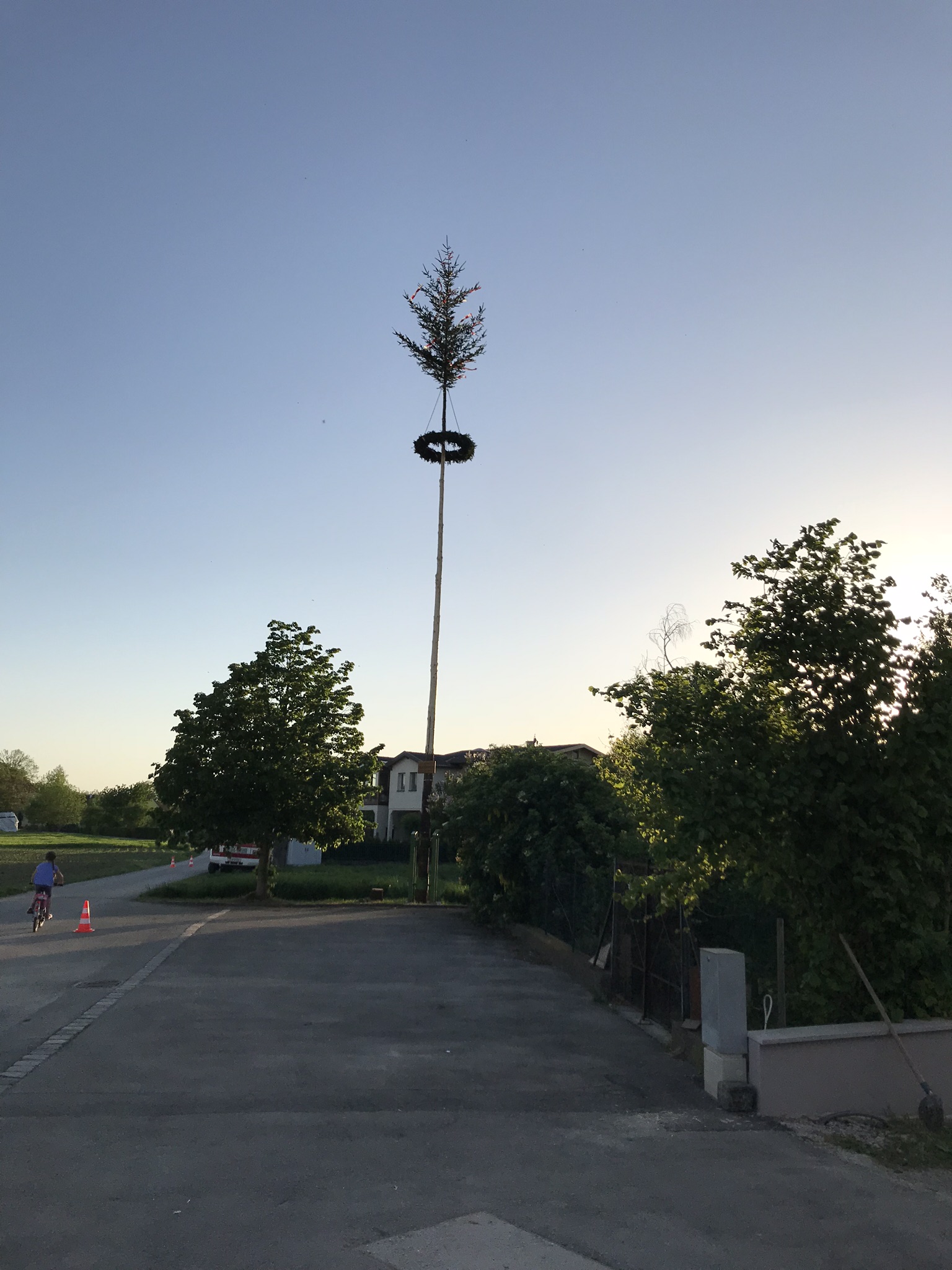 Maibaum holen und aufstellen