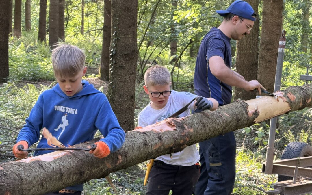 Maibaum wurde geholt